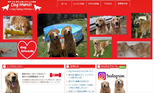 犬のしつけ教室【神戸市】愛犬の問題行動がピタリとなくなる最善の方法！