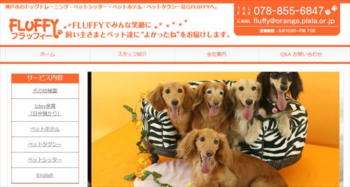 犬のしつけ教室【神戸市】愛犬の問題行動がピタリとなくなる最善の方法！