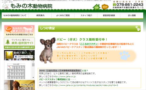 犬のしつけ教室【神戸市】愛犬の問題行動がピタリとなくなる最善の方法！