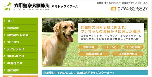 犬のしつけ教室【神戸市】愛犬の問題行動がピタリとなくなる最善の方法！